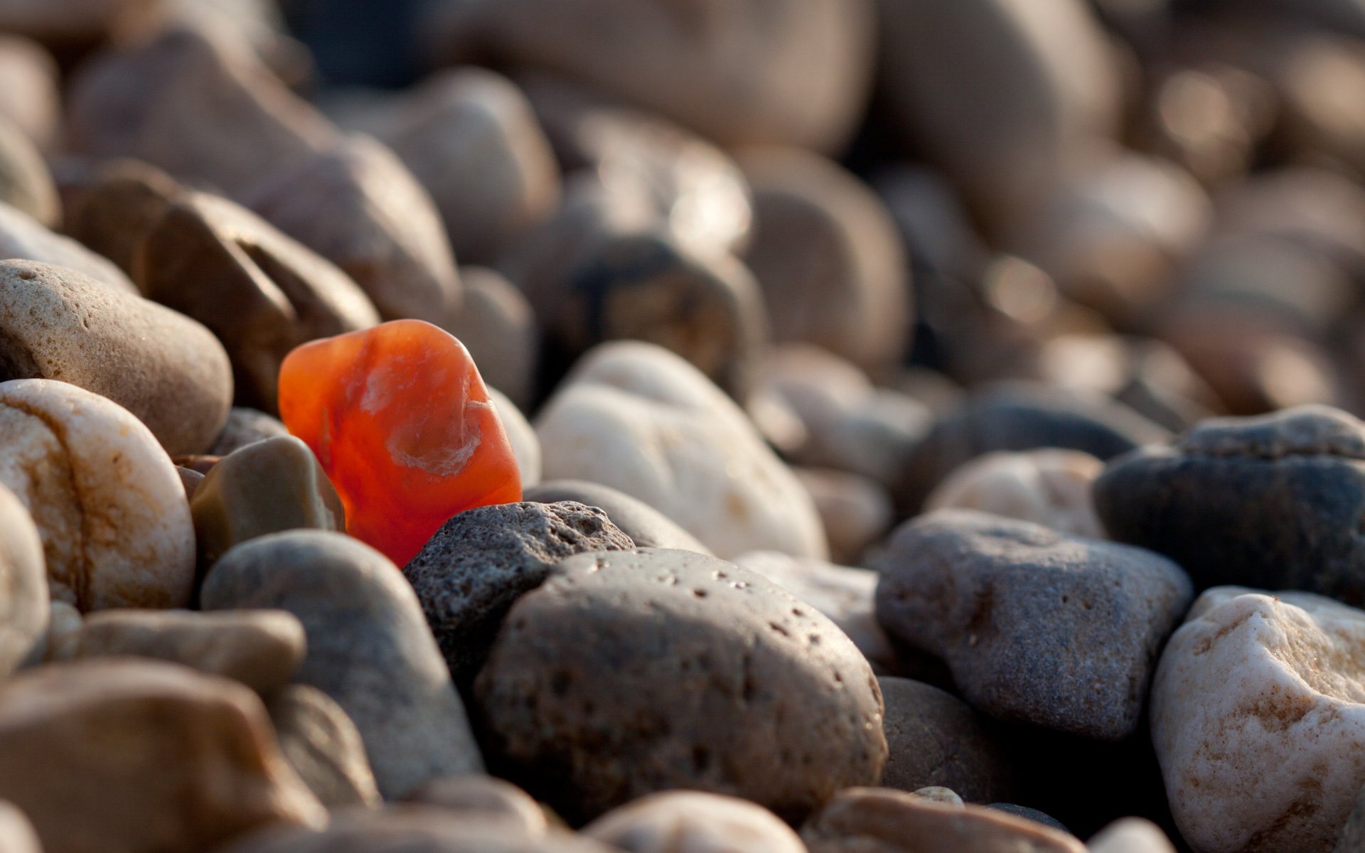 piedras guijarros guijarros sé especial sé especial