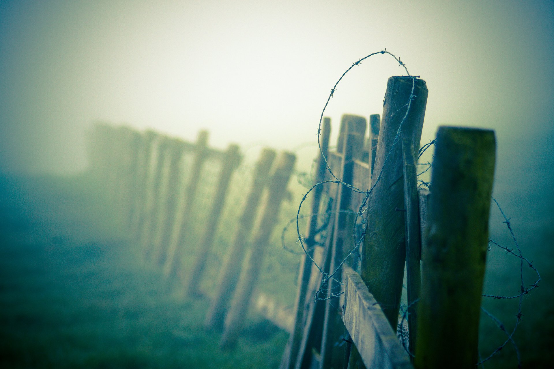 macro recinzione filo spinato nebbia foschia