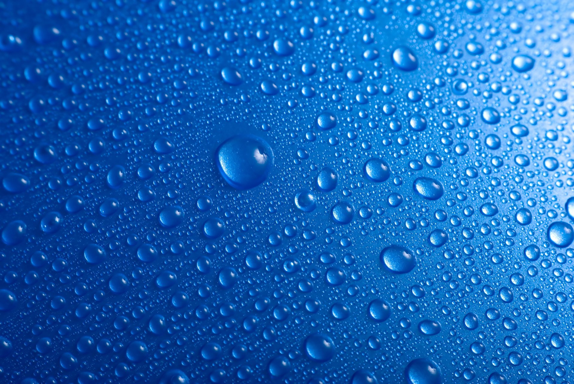 drops water on a blue blue background