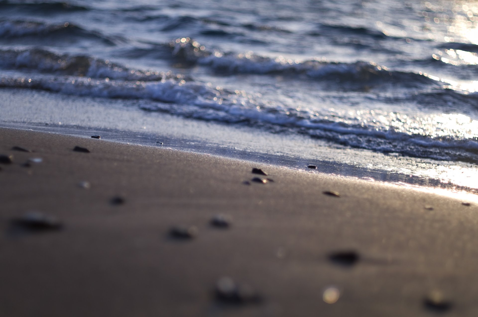 morze brzeg plaża piasek blask światło fale woda muszle kamienie kamyki natura makro