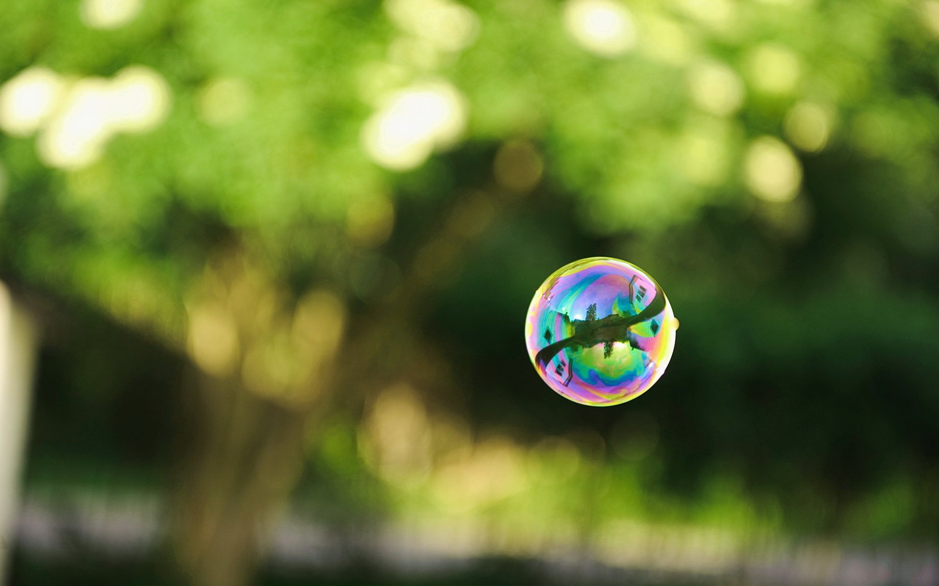 foto burbuja jabón bola reflexión verde