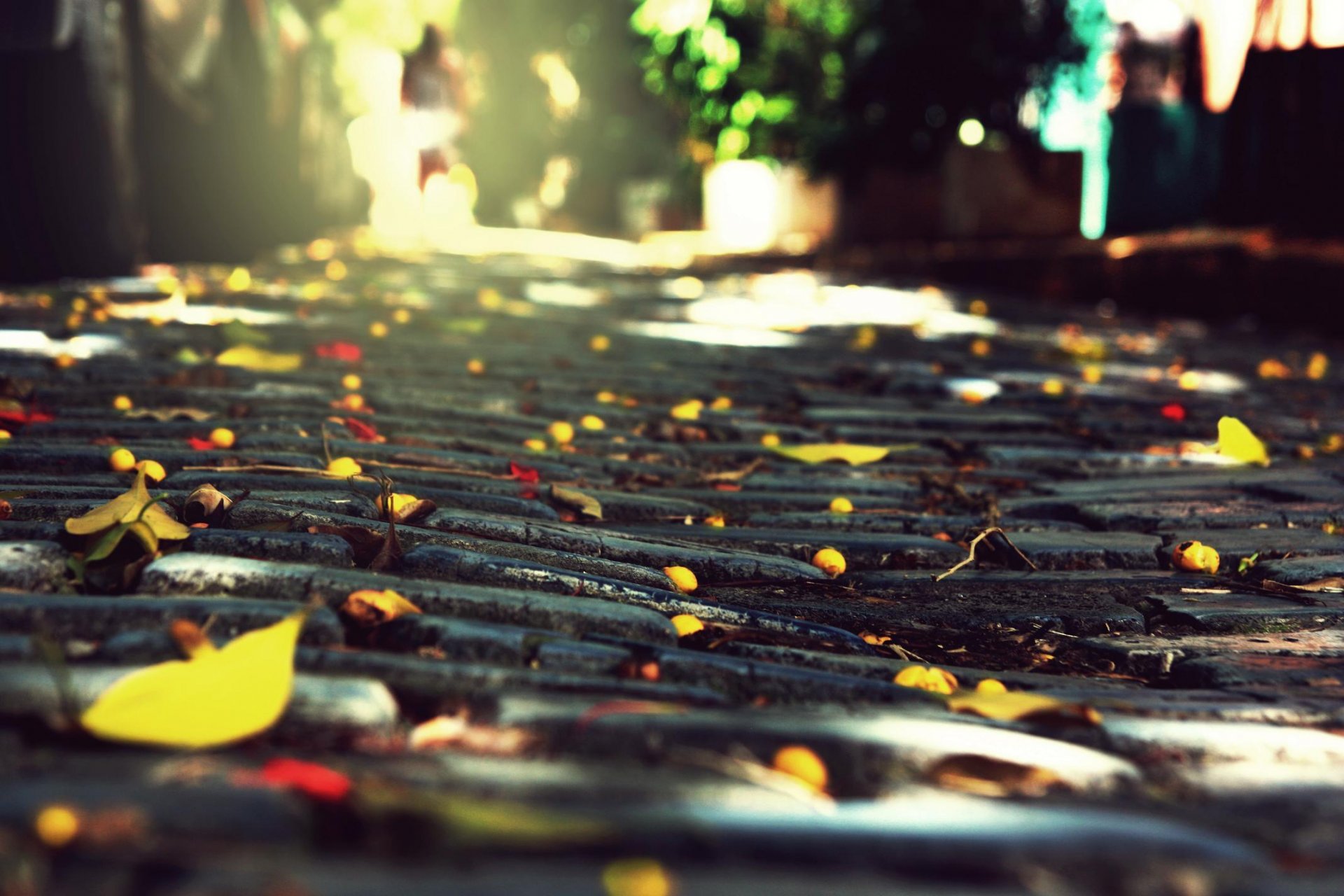 town cobbles stones autumn foliage