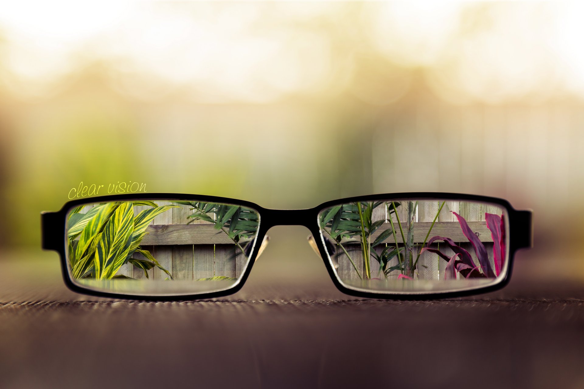 visión clara mesa gafas lentes cerca hojas macetas plantas