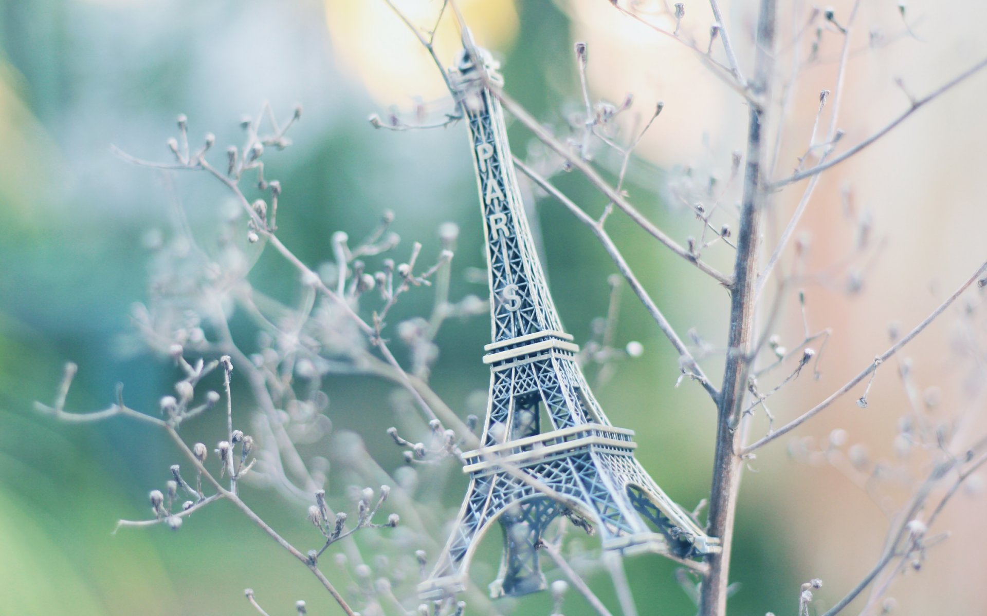 paris tour eiffel branches