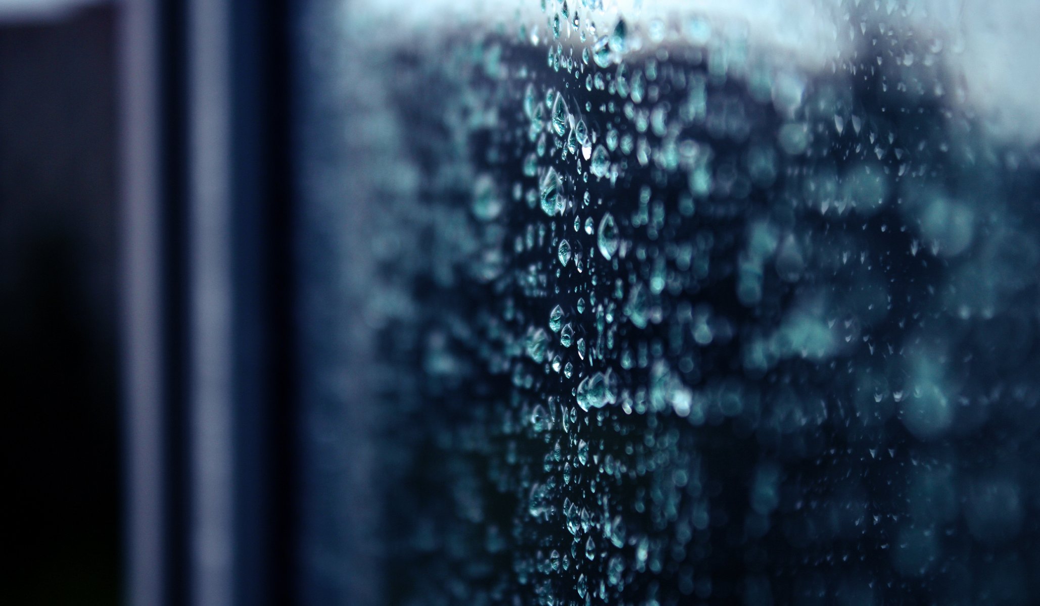 close up drops rain bokeh