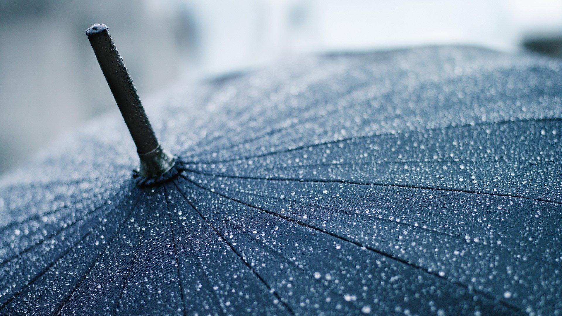 makro tropfen regenschirm regenschirm regen