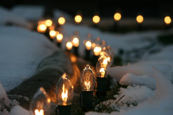 Burning light bulbs in the snow