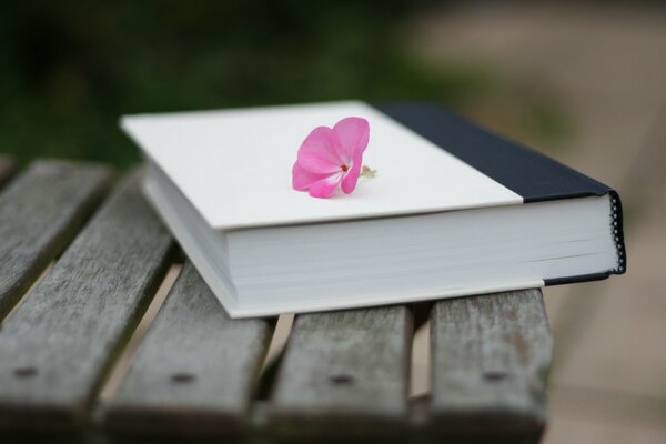 Un libro sin Leer con un regalo de un Fan