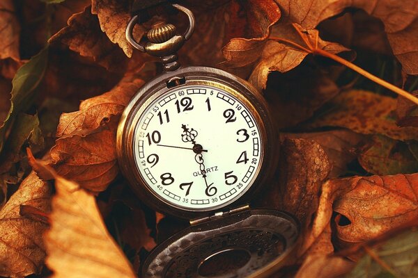 L automne est une période merveilleuse de l année. Les feuilles sont comme une horloge montrant le temps de transition d un état à un autre