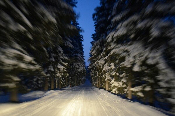 Route enneigée parmi les conifères