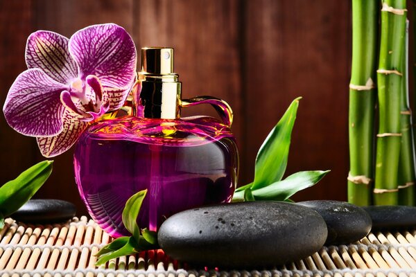 Perfume bottle next to orchid and black massage stones