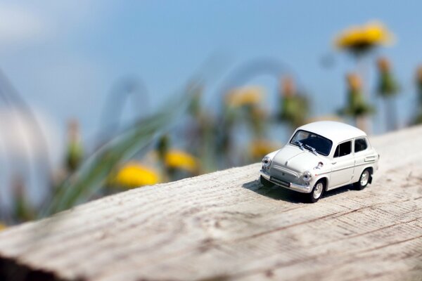 Model of a white car in colors