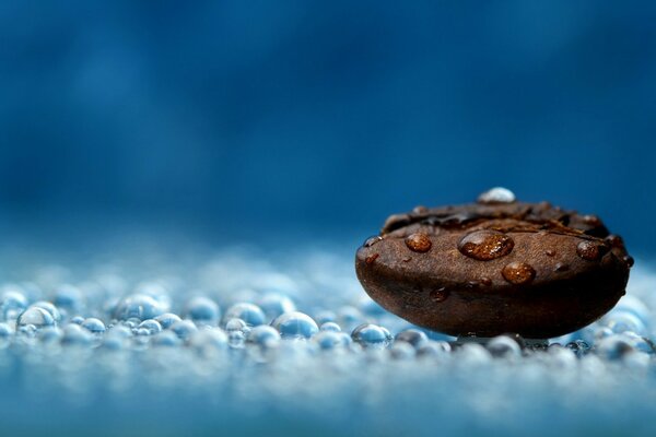 Coffee bean in water droplets