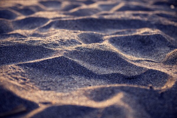 Gros plan de sable de mer