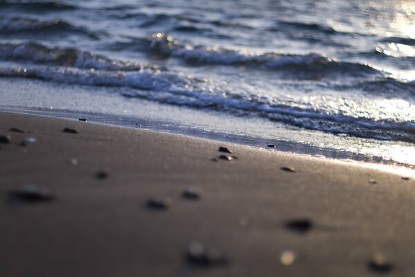 Rocky beach by the sea