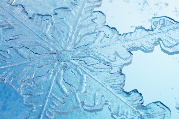 Pale blue snowflake in macro