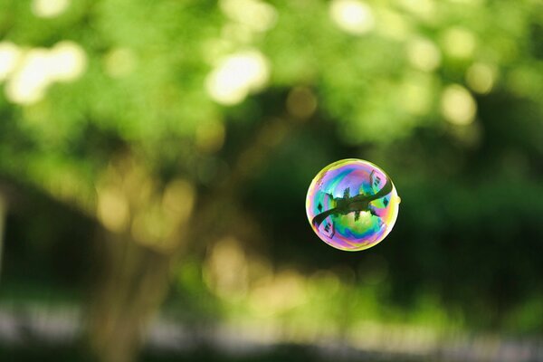 Bulle de savon sur fond de verdure