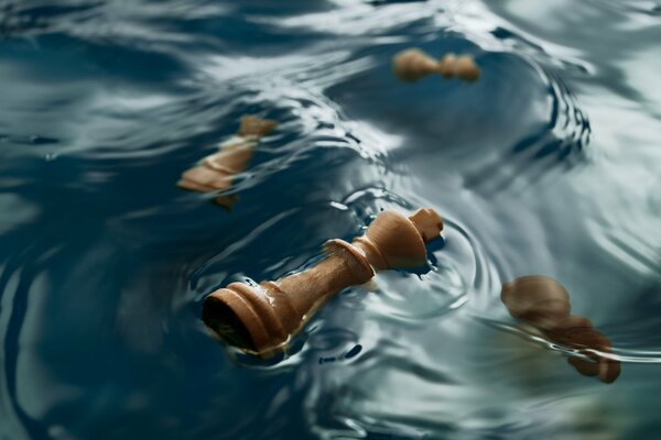 Chess pieces that fell into the water