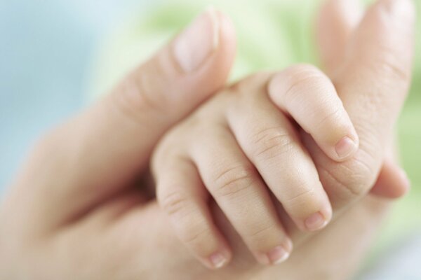 Mother and child s hand