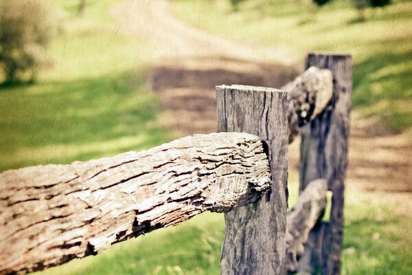 Wooden fence in macro shooting