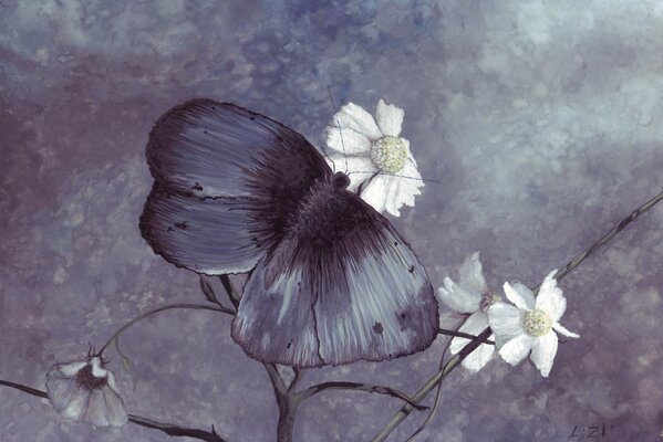 Farfalla blu e fiori di Margherita