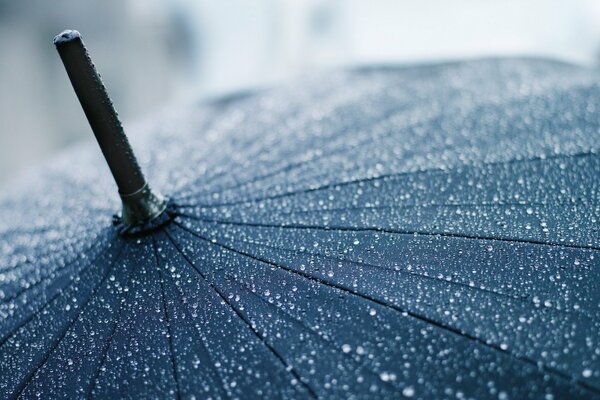 Gouttes de pluie sur un grand parapluie