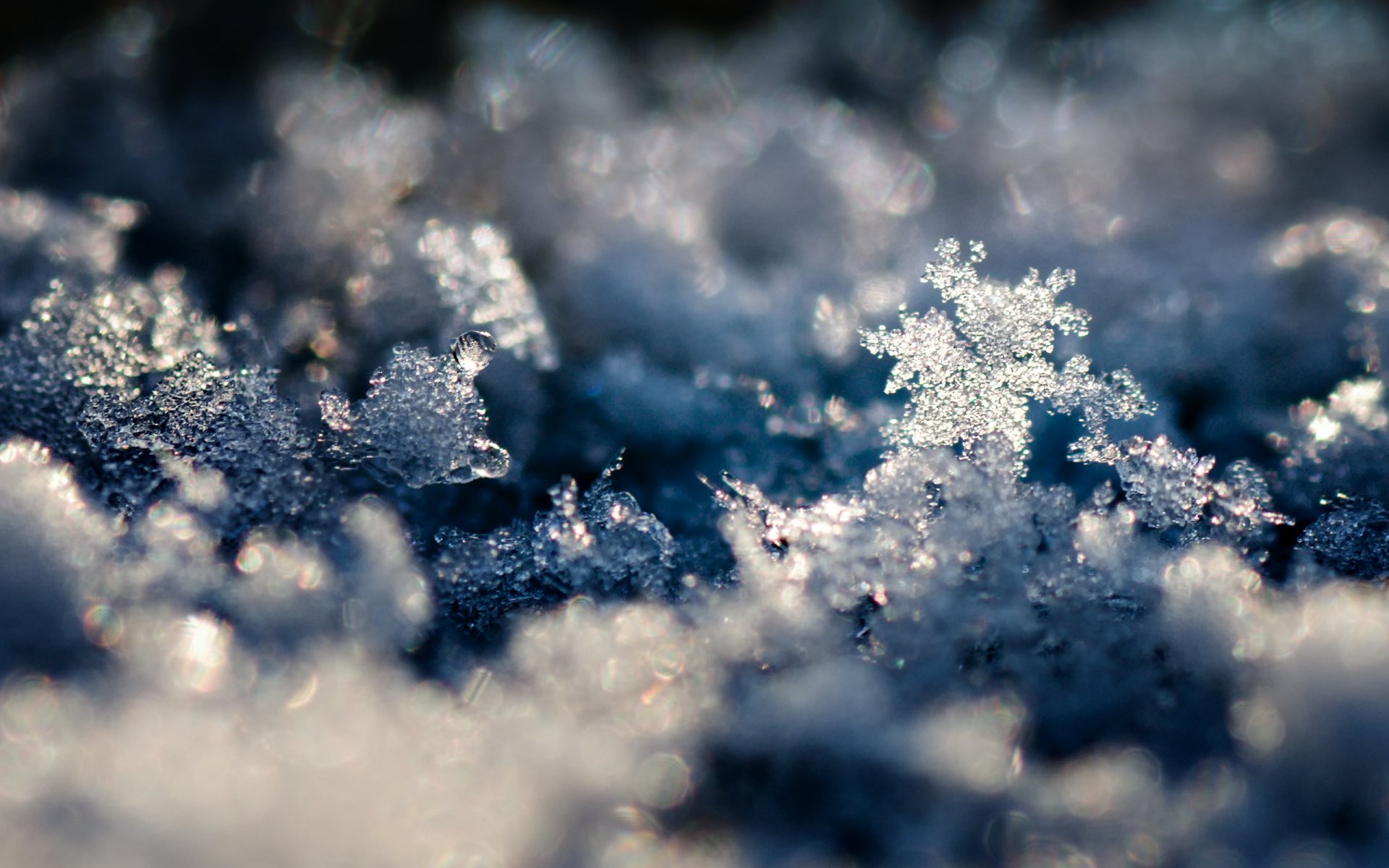 foto macro invierno nieve copos de nieve fondo fondos de pantalla