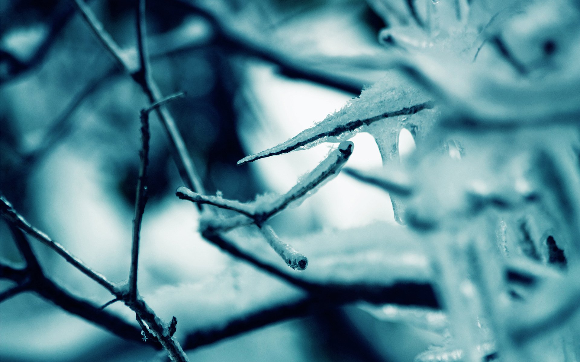 makroschnee winter natur frost kälte