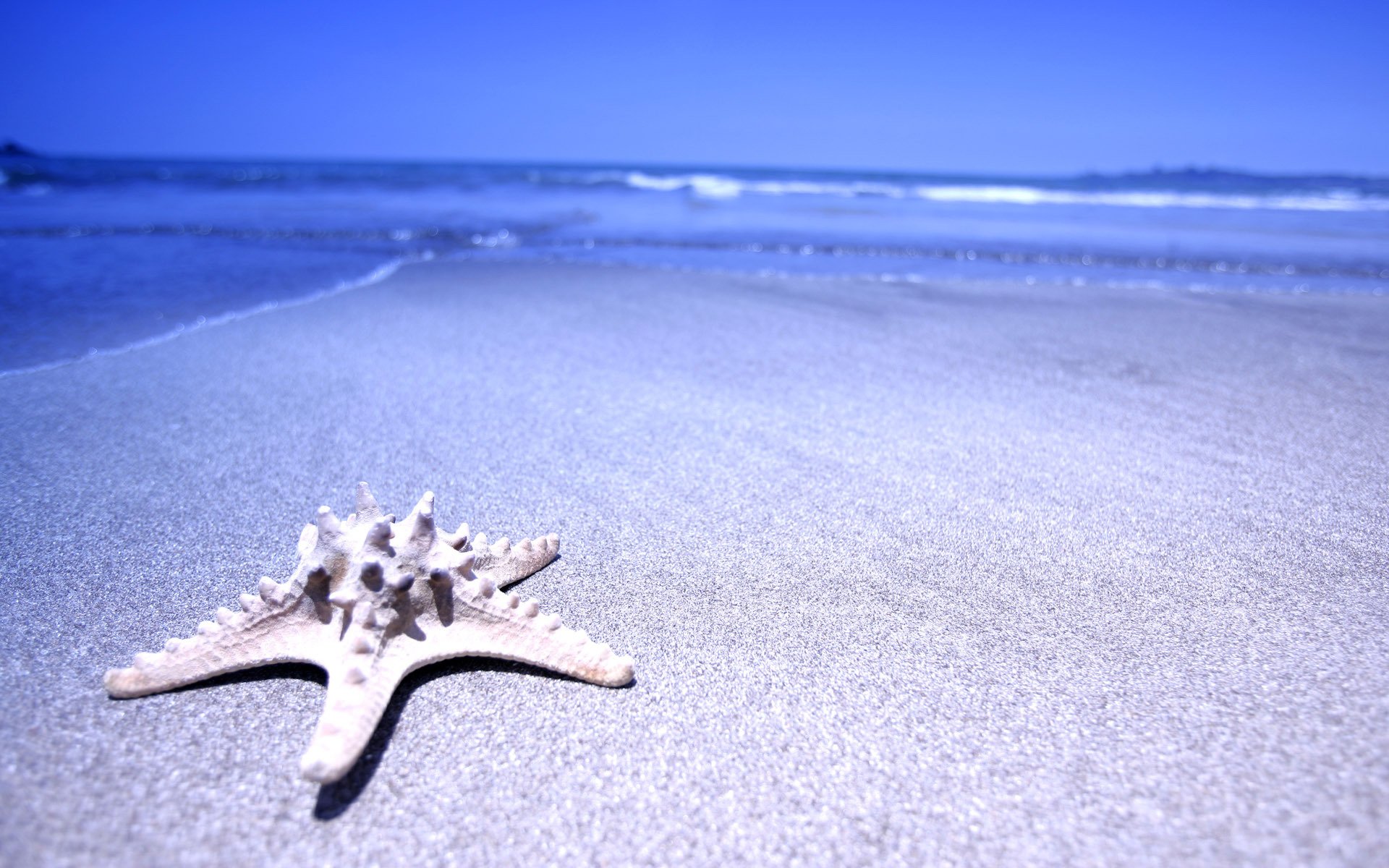 stern sand meer wasser