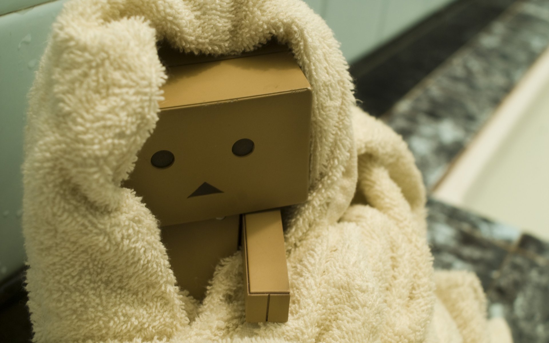 karton karton kopf danbo