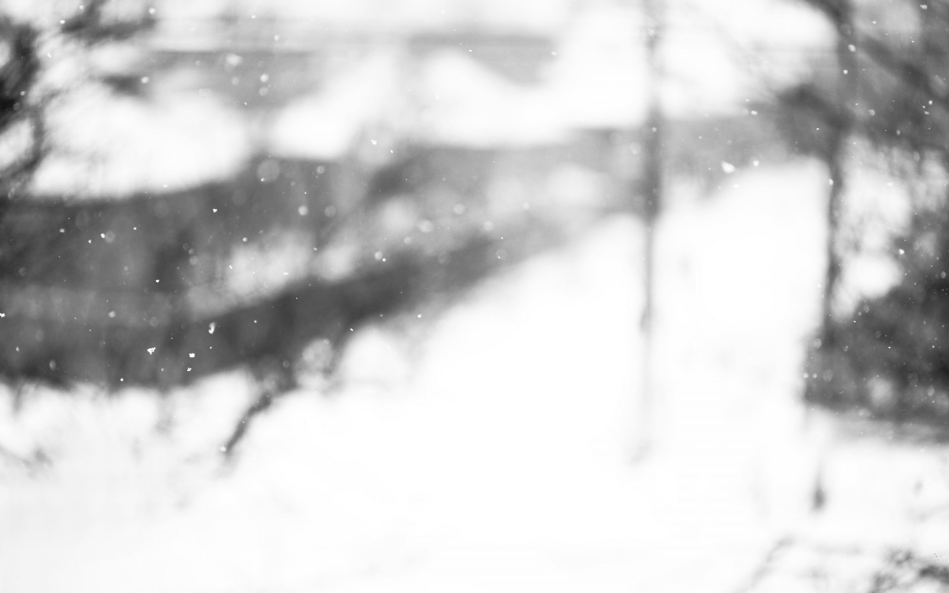 macro vidrio ventana invierno nieve copos de nieve ventana estado de ánimo ventisca tormenta de nieve nevadas