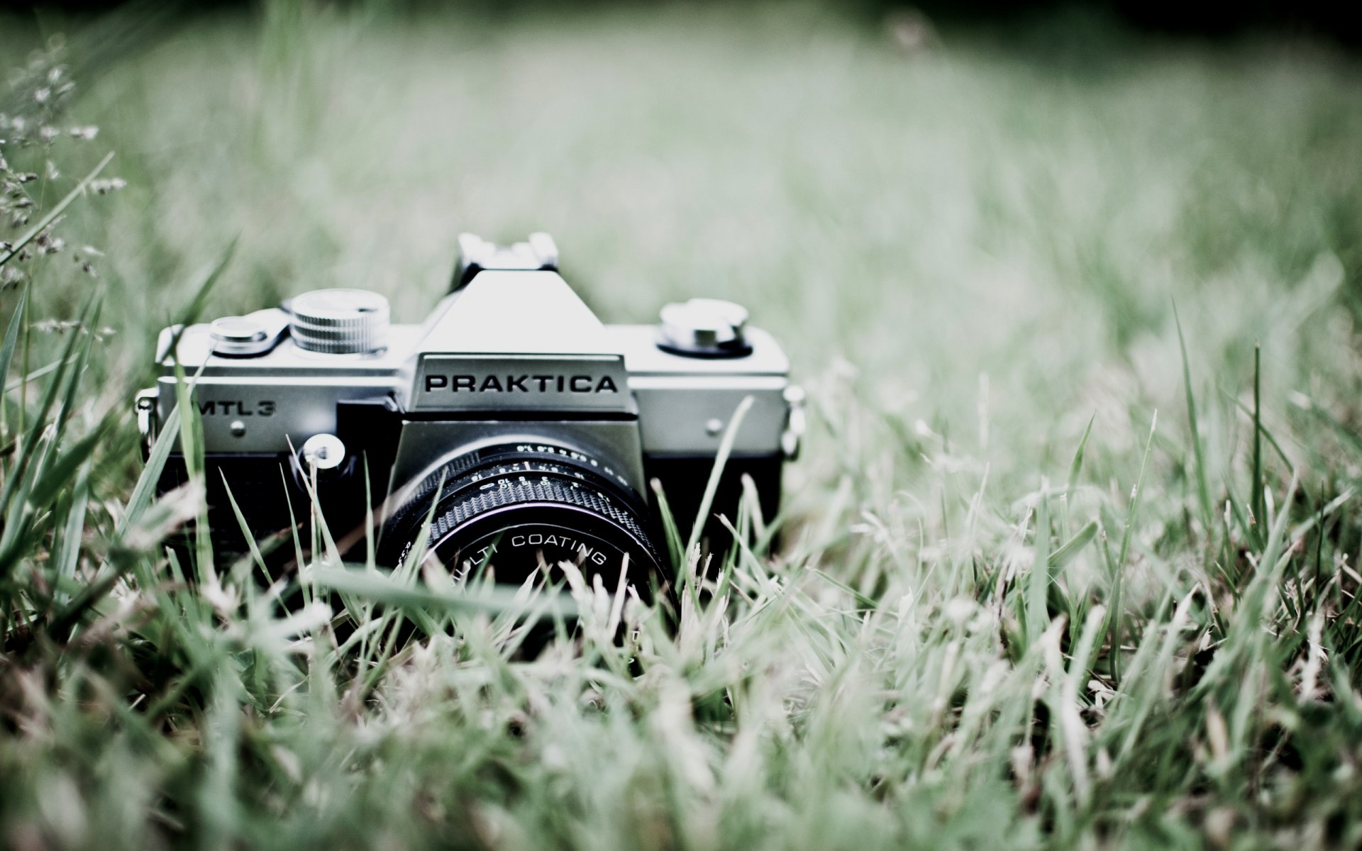 grass green nature a camera praktica lens photo close up background wallpaper