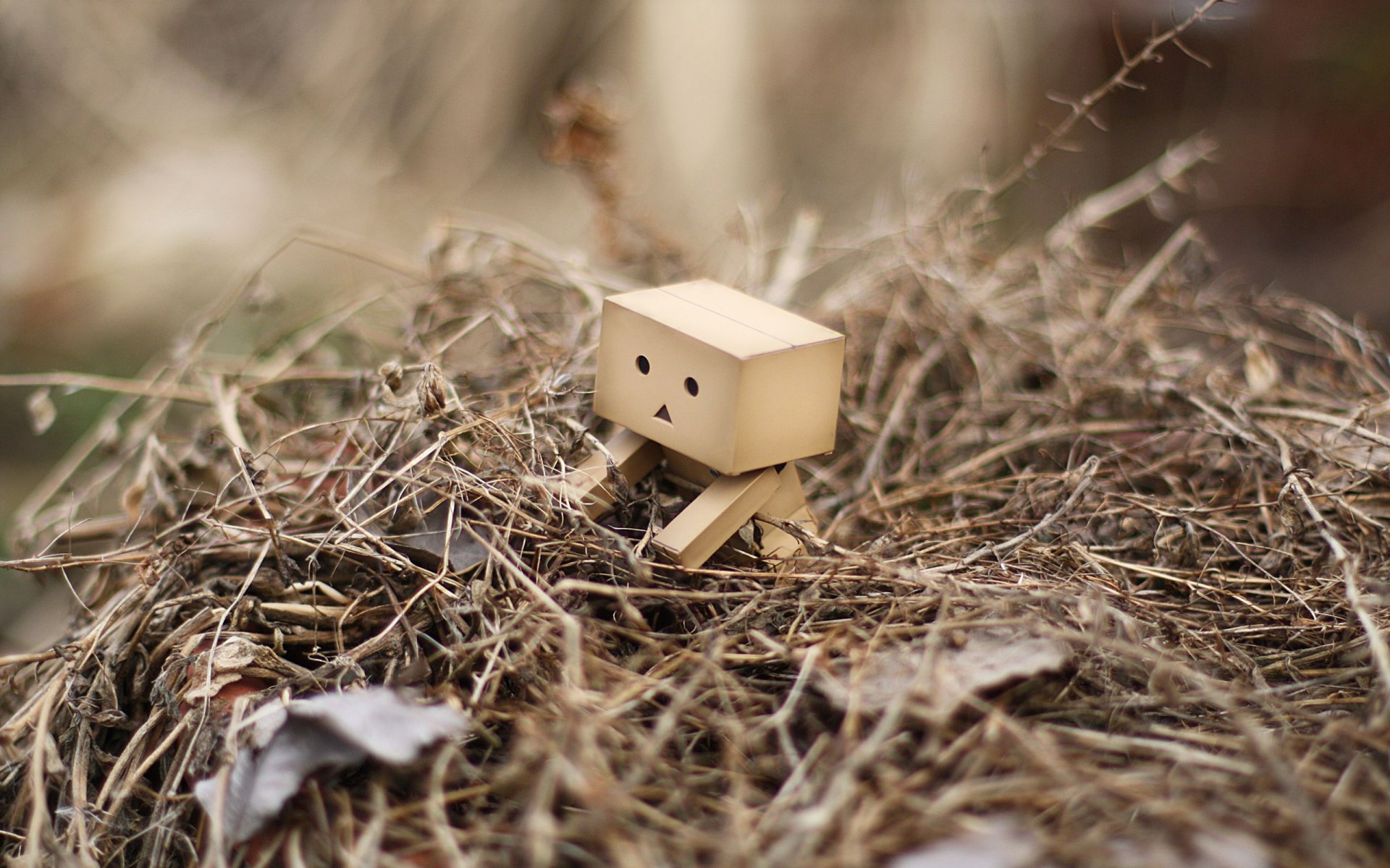 danbo roboter haufen gras blätter