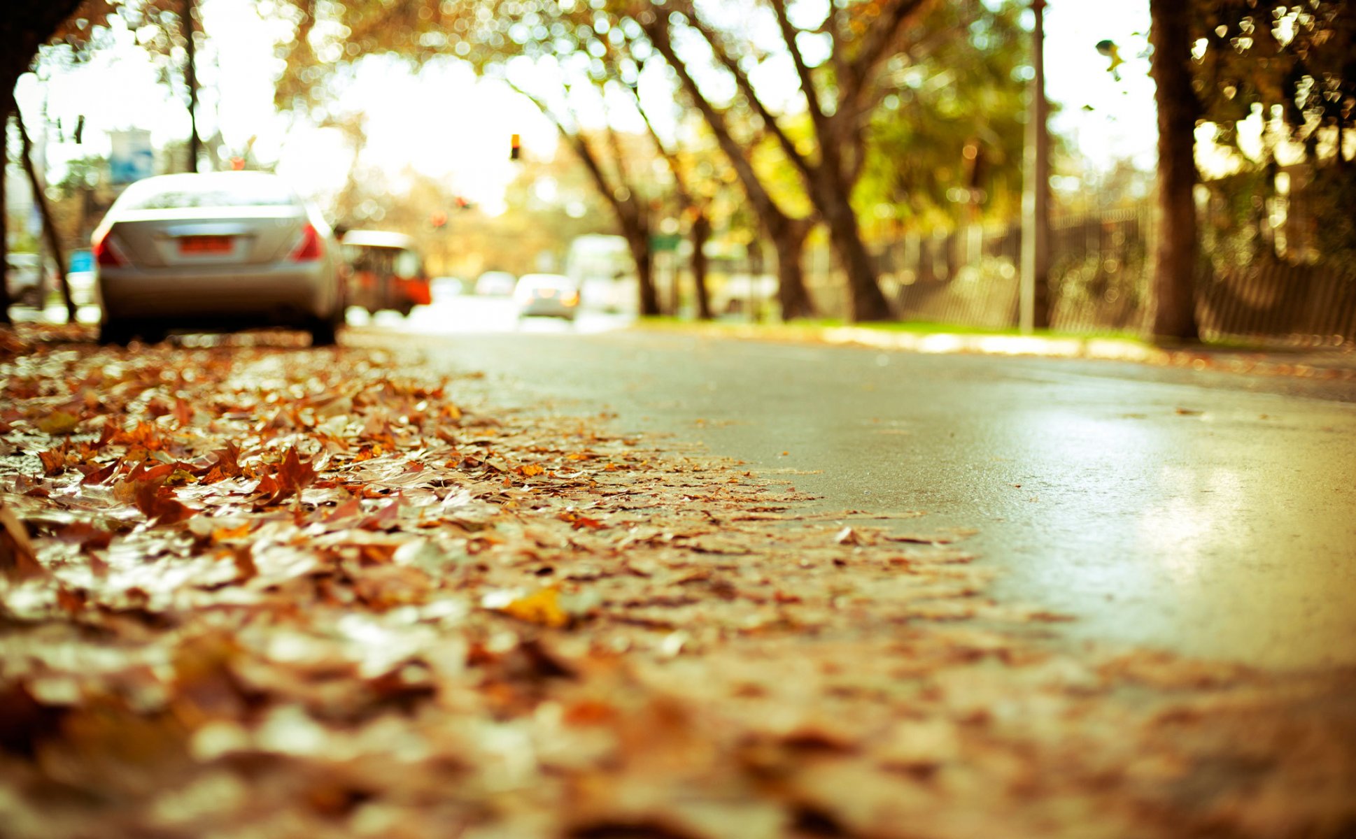 road cars asphalt highway autumn foliage landing town blur effect