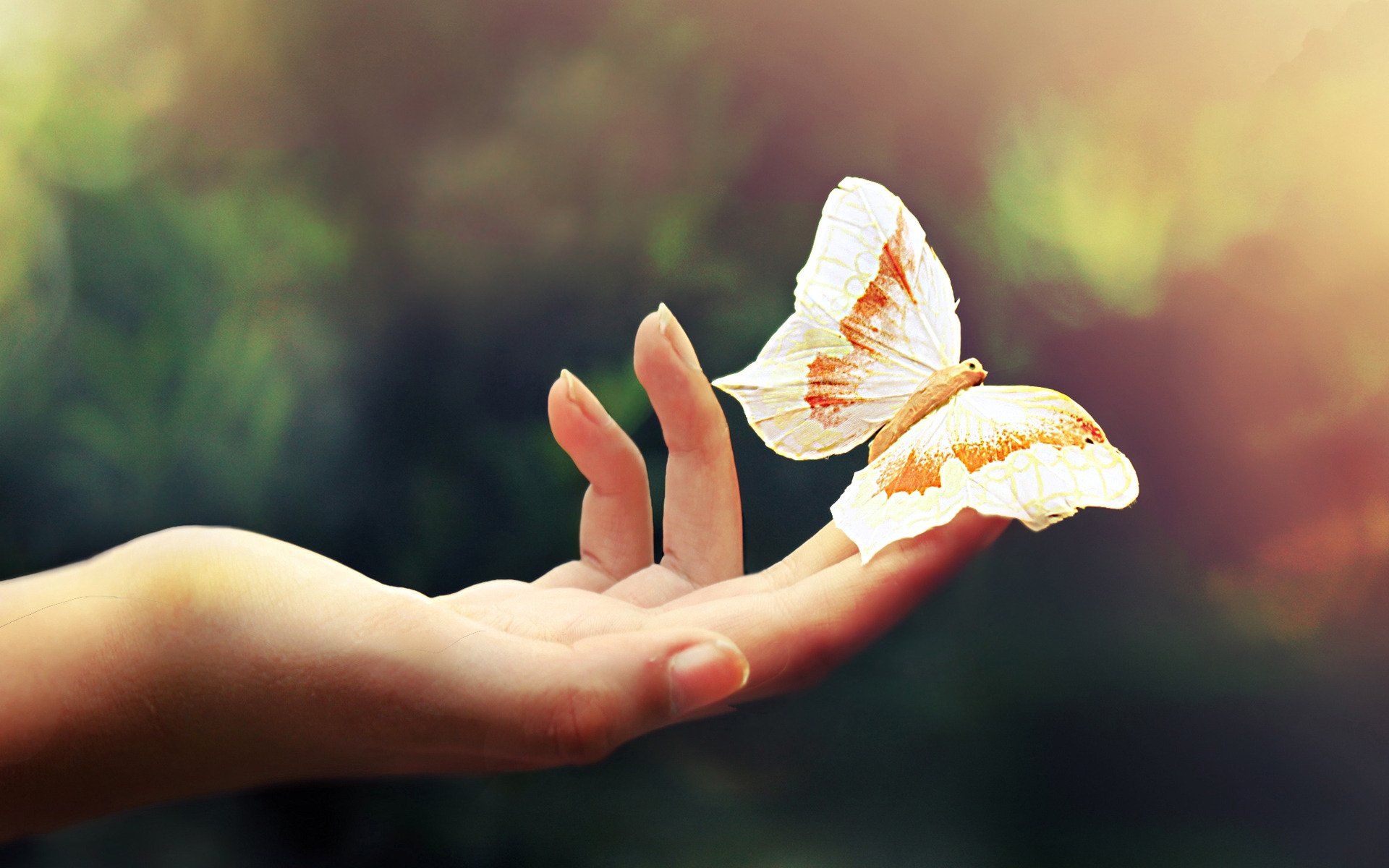 hand palm fingers butterfly light flowers lightness close up