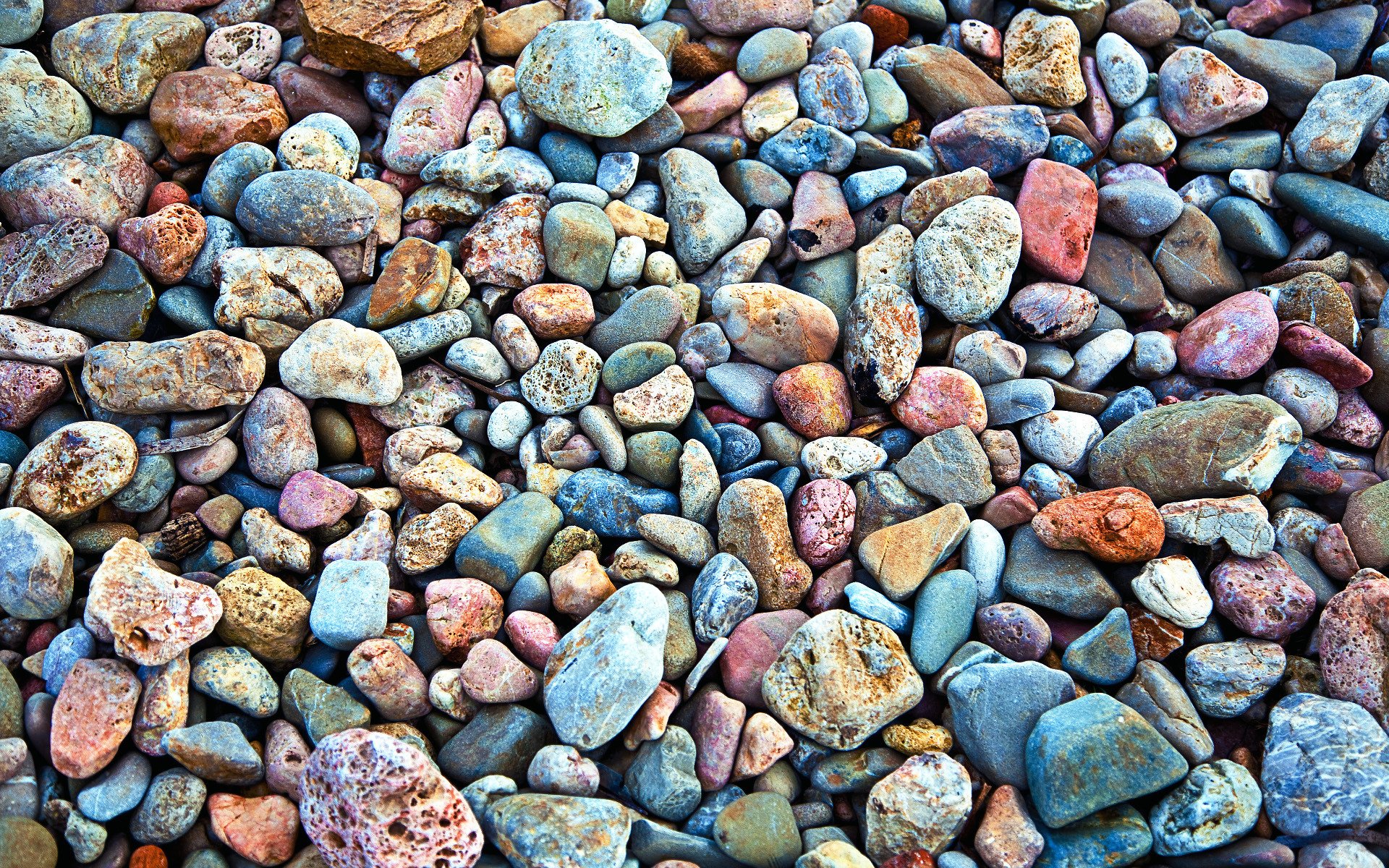 macro texture texture stone marine stones photo