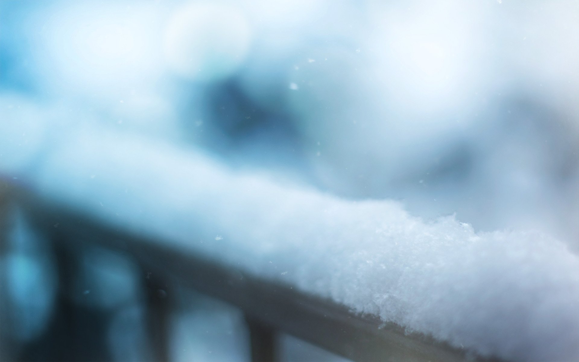 photo gros plan hiver neige fond d écran