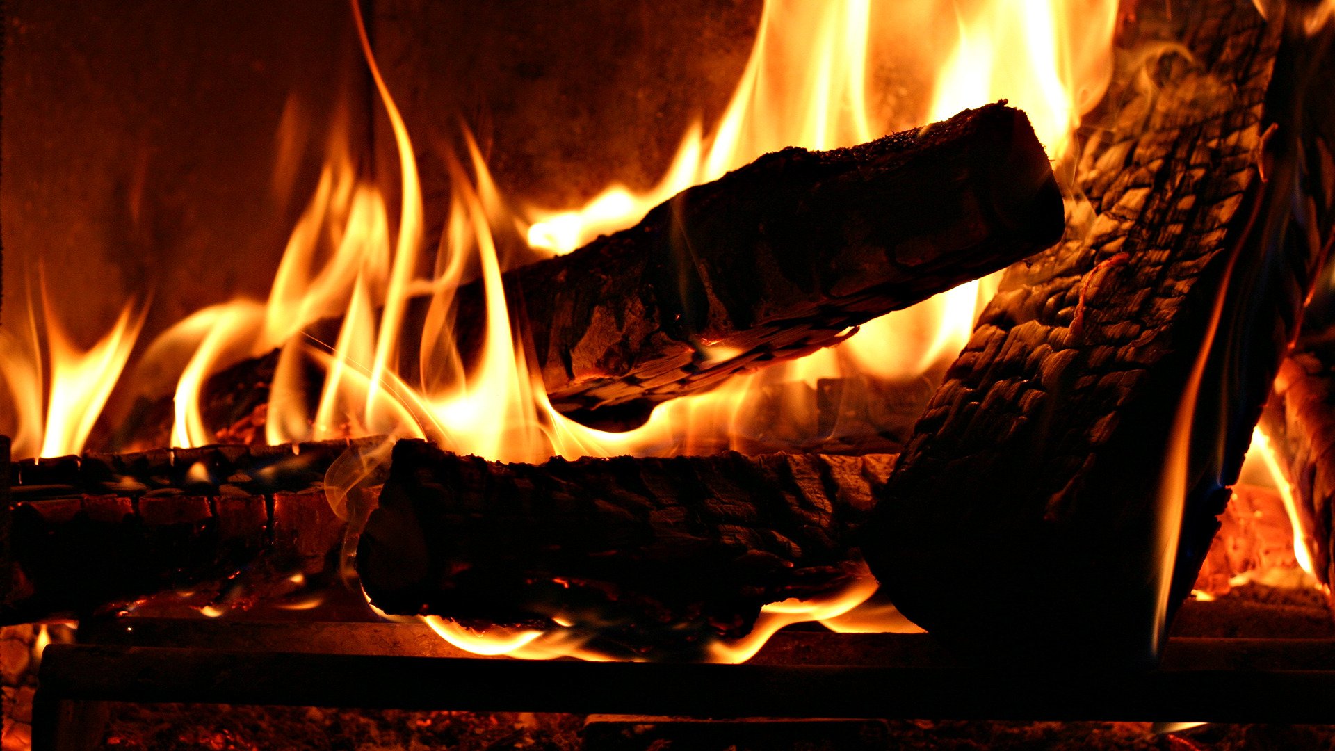 bonfire firewood fire heat wood