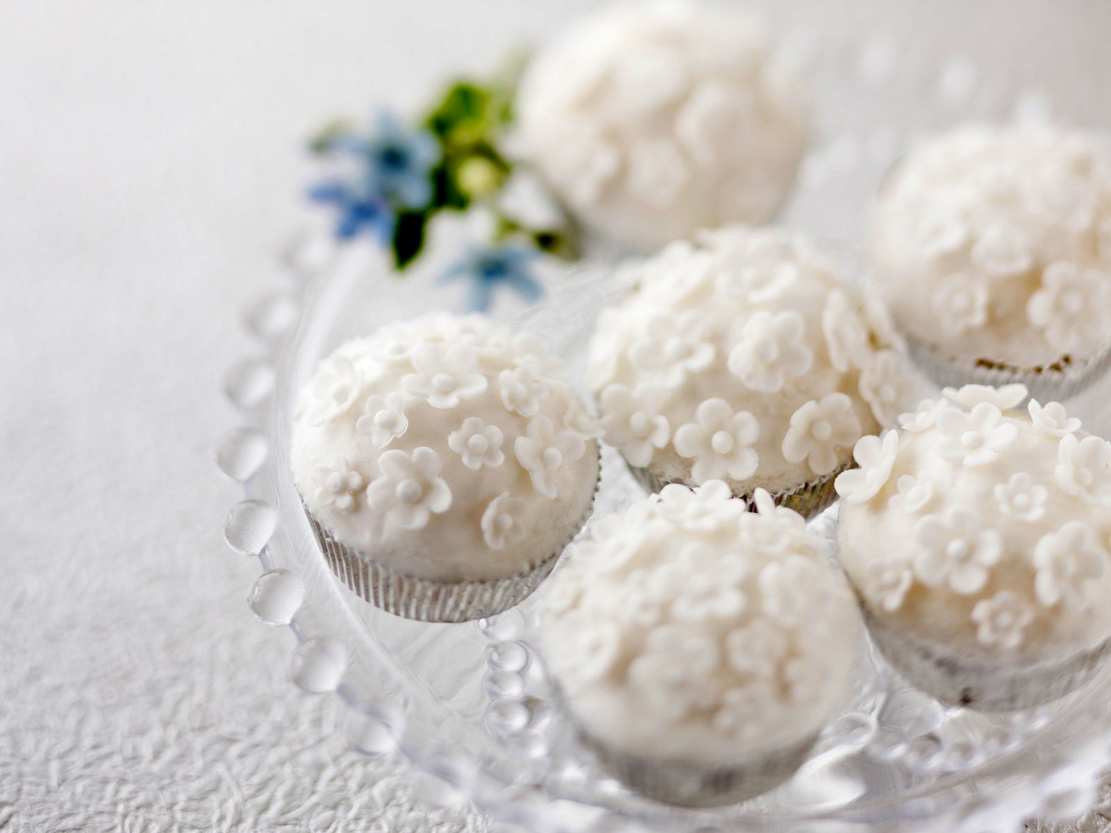 süßigkeiten weiß süßigkeiten lecker blumen