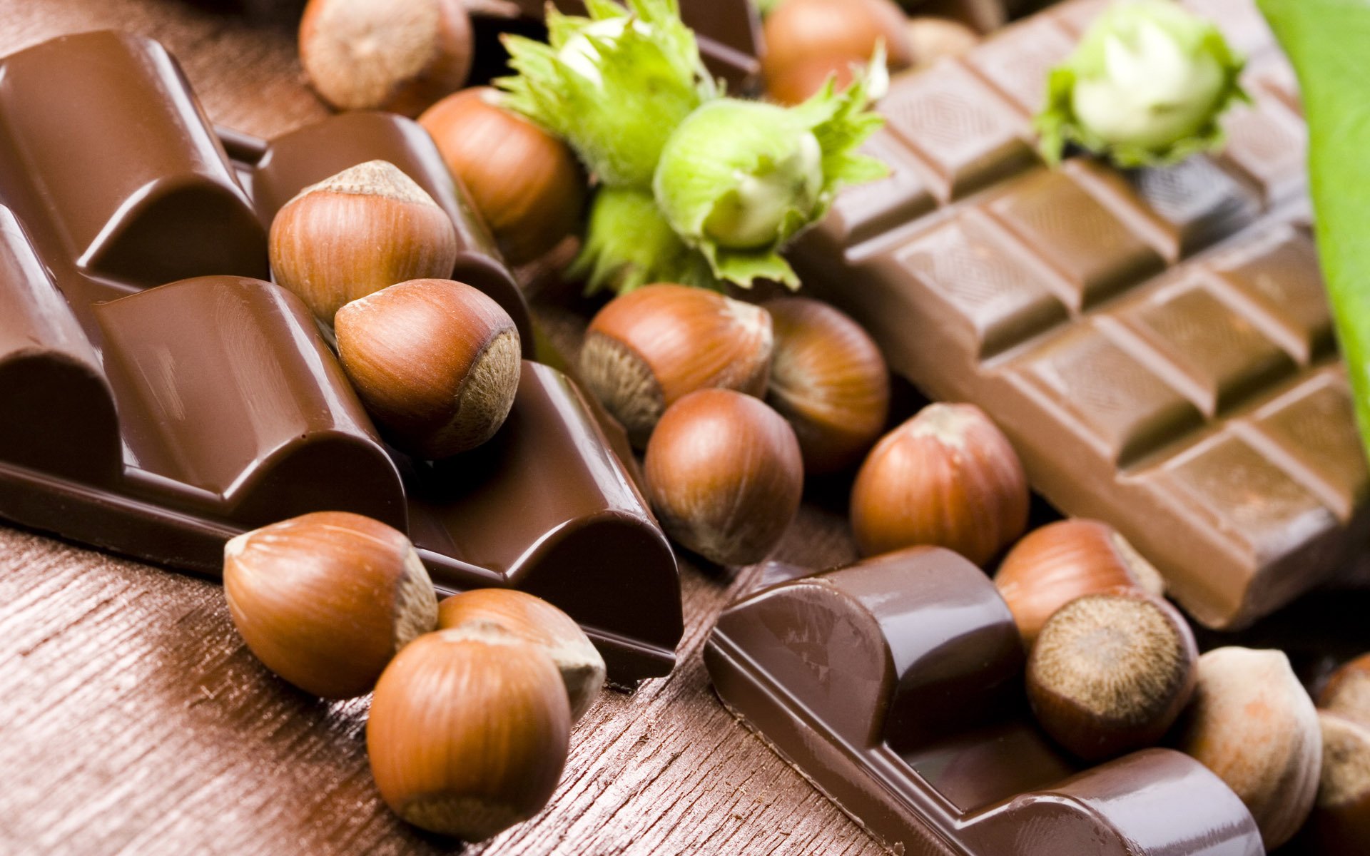 nuts hazelnuts shell chocolate tile