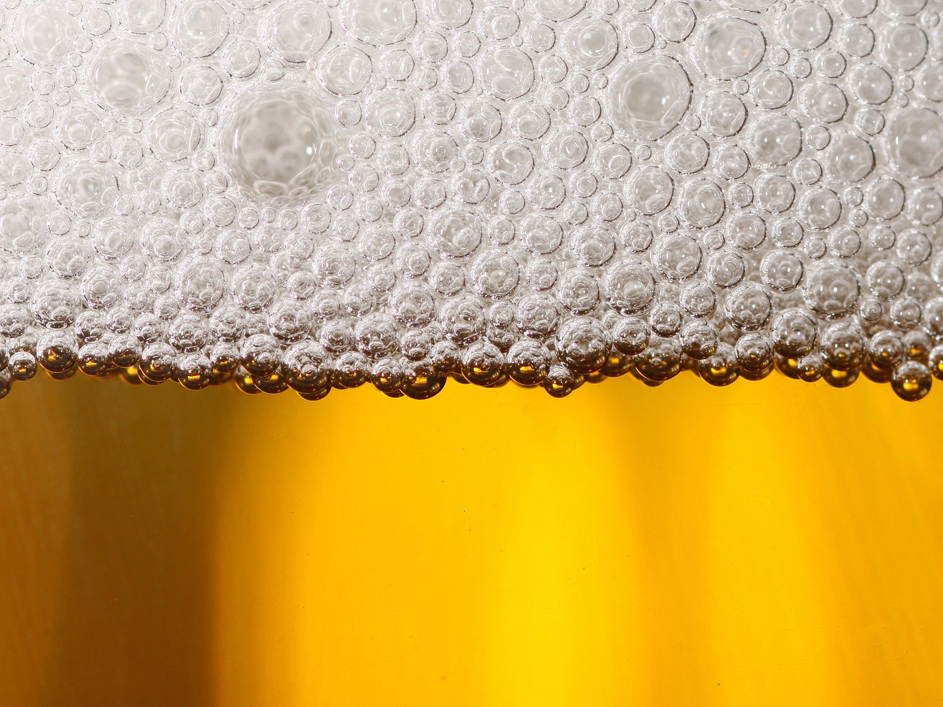 beer foam close up