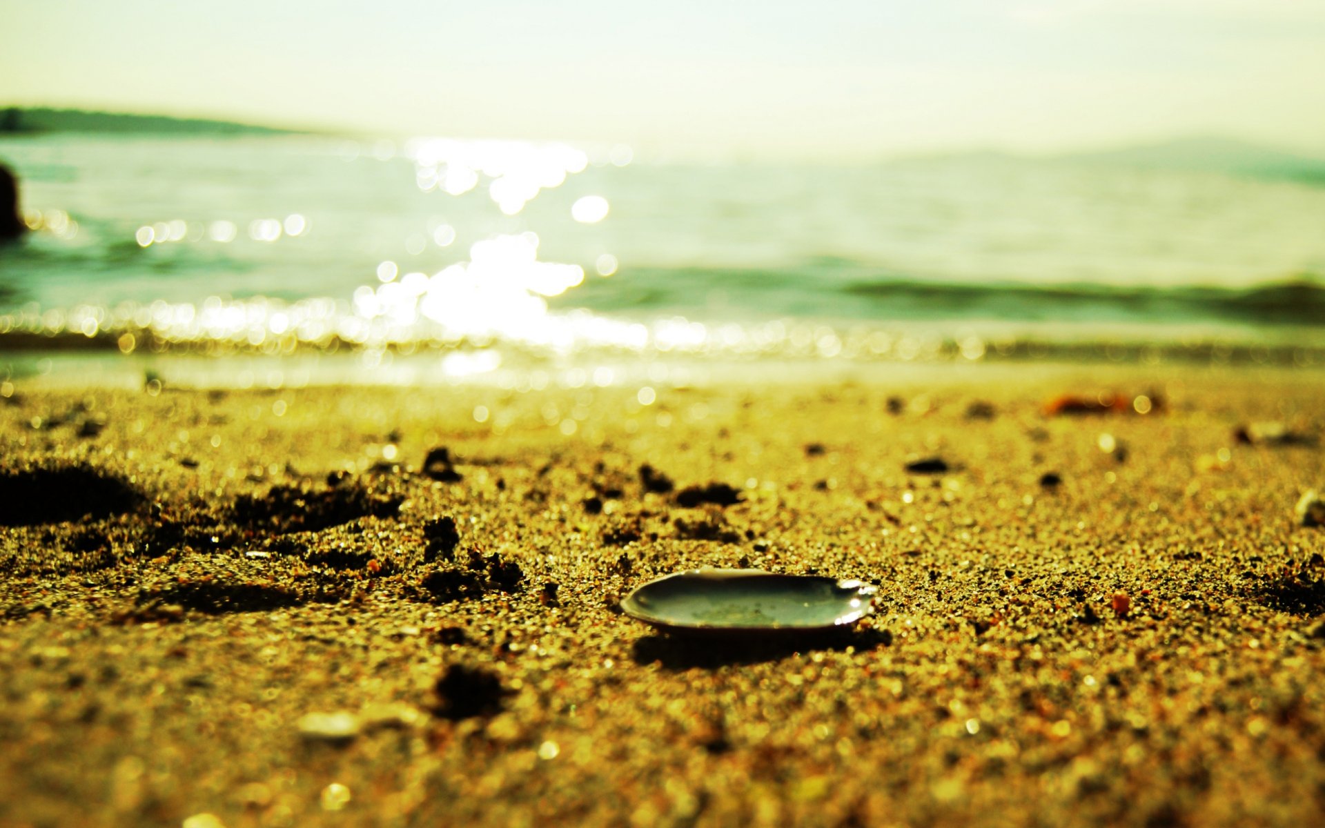 hell sink sand grains beach shine water sea light summer close up