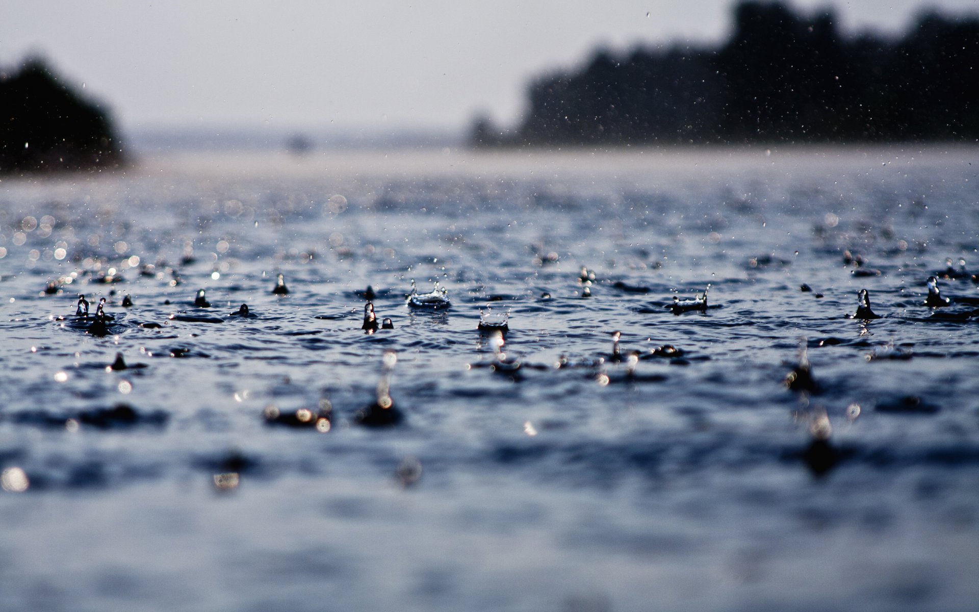 капля капли дождь дожди вода мокро ливень ливни