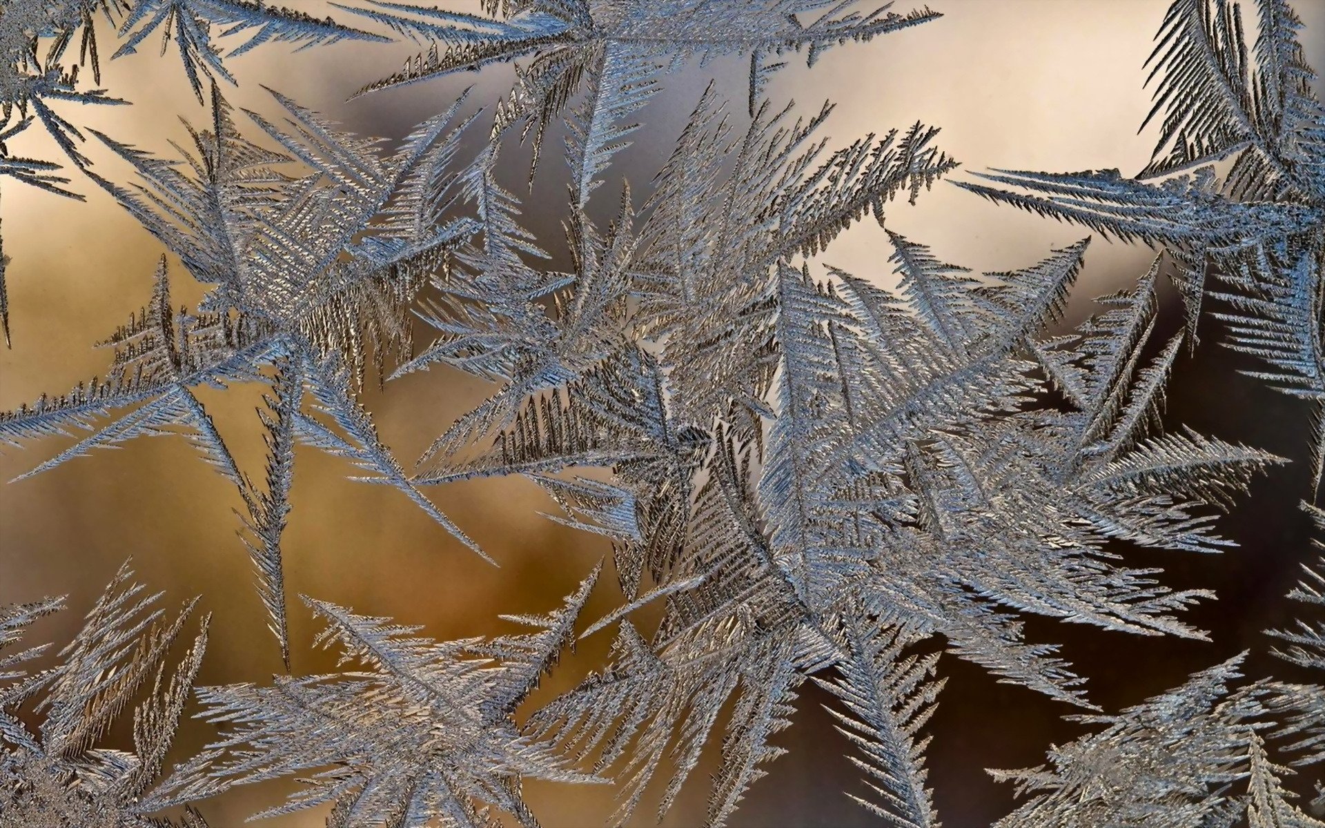 winter glass frost