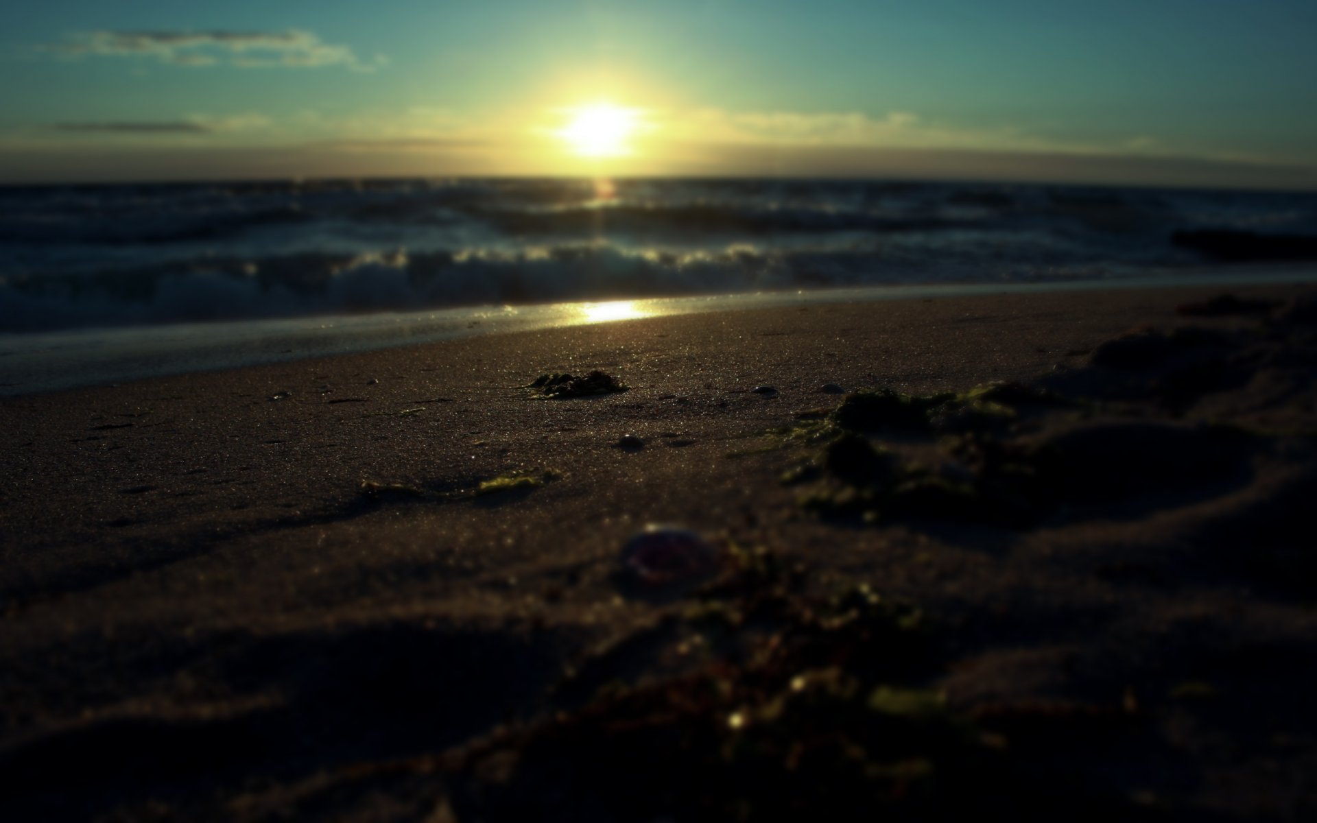 macro macro sable paysage eau mer surf lever du soleil soleil rayons