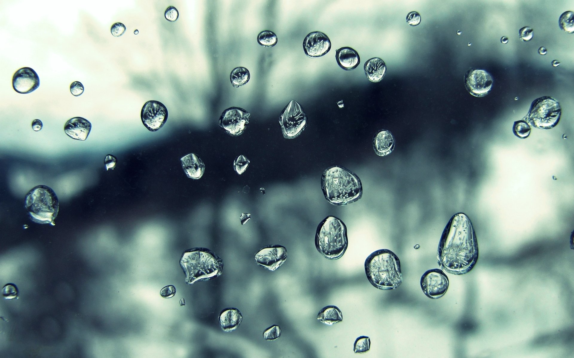 macro textura lluvia gotas agua