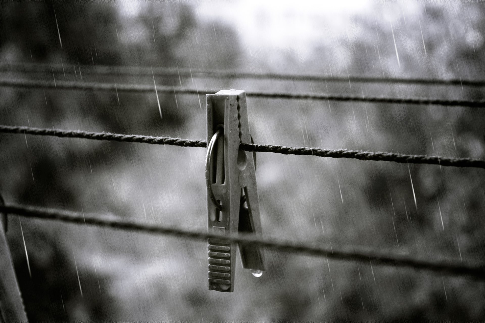 pince à linge pluie éclaboussures automne goutte