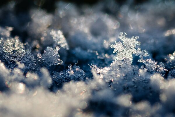 Fond d écran photo d hiver neigeux