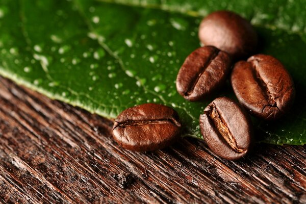 Grains de café sur une feuille verte