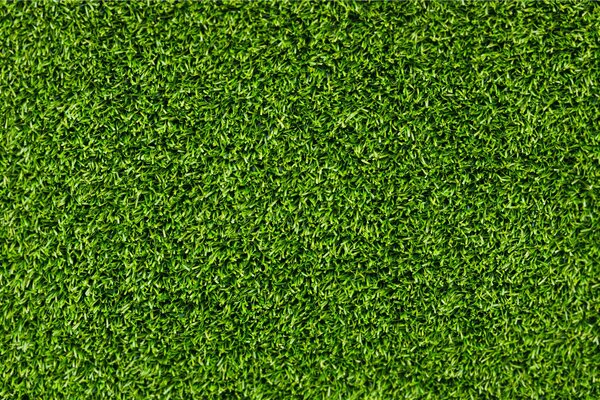 Heller grüner Gras-Teppich